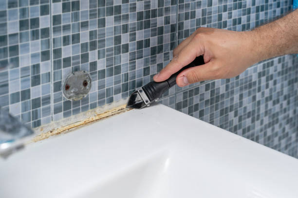 Best Certified Mold Removal  in Whitehouse, TX